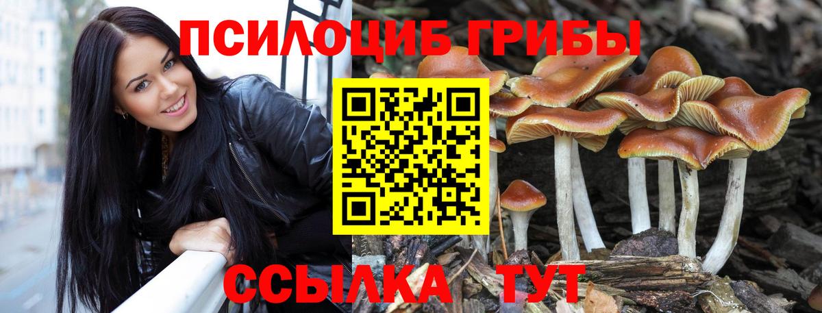 Выкса  Галлюциногенные грибы GOLDEN TEACHER  Вход с VPN 
